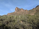 photo thumbnail #6