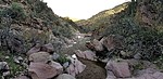 photo thumbnail #7