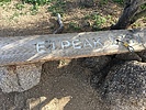 photo thumbnail #2