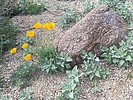 photo thumbnail #3