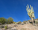 photo thumbnail #8
