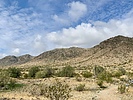 photo thumbnail #2