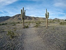 photo thumbnail #6