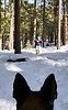 photo thumbnail #11