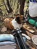 photo thumbnail #2