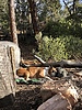 photo thumbnail #3