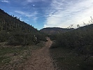 photo thumbnail #3
