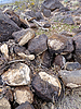 2019-01-17 :1: Black Mesa-New Water Mountains Wilderness :: FLYING_FLIVER