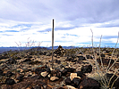 2019-01-17 :1: Black Mesa-New Water Mountains Wilderness :: FLYING_FLIVER
