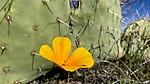 photo thumbnail #3