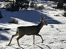 photo thumbnail #6