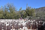 photo thumbnail #6