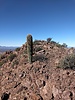 photo thumbnail #4