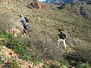 photo thumbnail #1