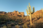 photo thumbnail #14