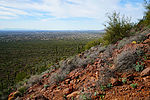 photo thumbnail #6