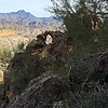 photo thumbnail #4