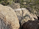 photo thumbnail #4