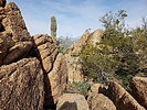 photo thumbnail #5
