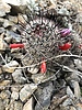 photo thumbnail #3