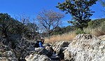 photo thumbnail #4