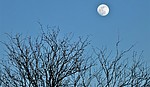 photo thumbnail #14