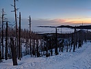 photo thumbnail #8