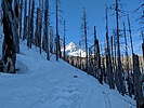 photo thumbnail #11