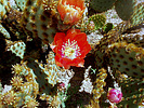 photo thumbnail #14