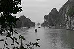 photo thumbnail #9