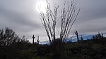 photo thumbnail #2