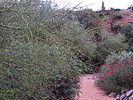 photo thumbnail #5