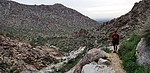 photo thumbnail #3