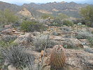 photo thumbnail #2