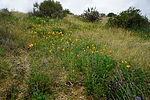 photo thumbnail #4
