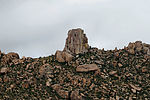 photo thumbnail #6
