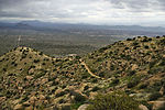 photo thumbnail #7