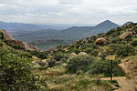 photo thumbnail #9