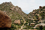 photo thumbnail #10