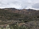 photo thumbnail #5