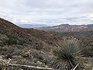 photo thumbnail #7