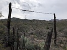 photo thumbnail #10