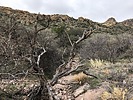 photo thumbnail #12