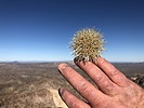 photo thumbnail #6