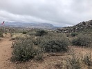 recent photo