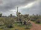 photo thumbnail #7