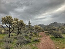 photo thumbnail #8