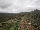 photo thumbnail #2