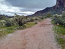 photo thumbnail #5