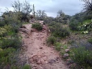 photo thumbnail #2